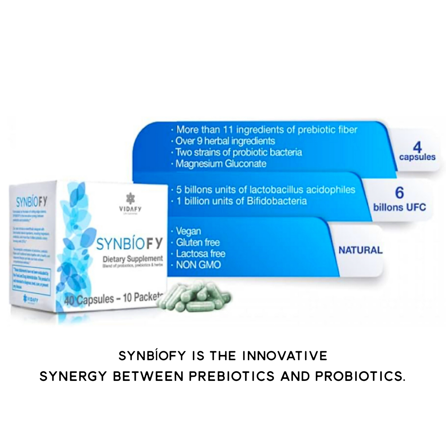 Synbiofy Dietary Supplement